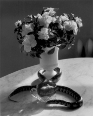 André Kertész Still Life with Flowers and Snake, New York, 1960