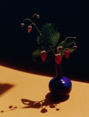 Horst, Strawberries in Blue Vase, c. 1985