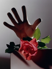 Horst, Rose with Cast Of Michelangelo Hand, c. 1985