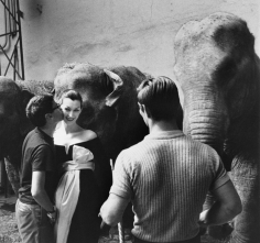 Sam Shaw, Richard Avedon and Dovima, Cirque d’Hiver, Paris, 1955