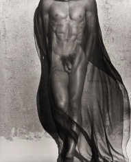 Herb Ritts, Male Torso with Veil, Silverlake, 1985