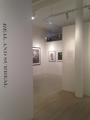 Real and Surreal, Exhibition View