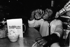 Anton Perich, Monkey in Max’s, Kansas City