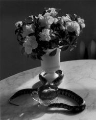 André Kertész, Still-life with Flowers and Snake, New York, 1960