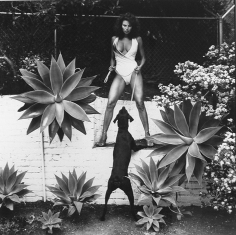 Helmut Newton, Raquel Welch, Beverly Hills, 1981